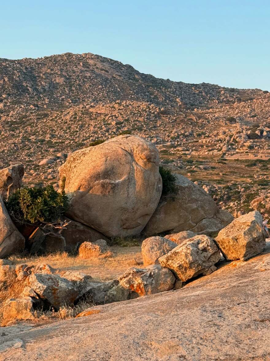 Η Στεφανία Γουλιώτη σκαρφάλωσε σε δέντρο στην Τήνο, δείτε φωτογραφίες
