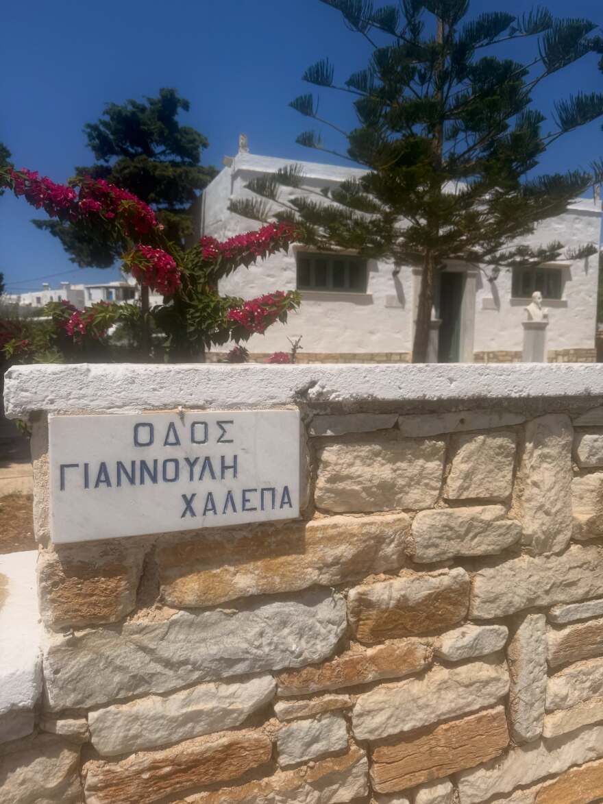 Η Στεφανία Γουλιώτη σκαρφάλωσε σε δέντρο στην Τήνο, δείτε φωτογραφίες
