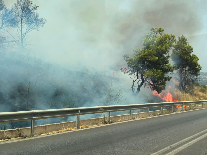 Φωτιά τώρα κοντά στα διόδια των Αφιδνών, δείτε βίντεο και φωτογραφίες
