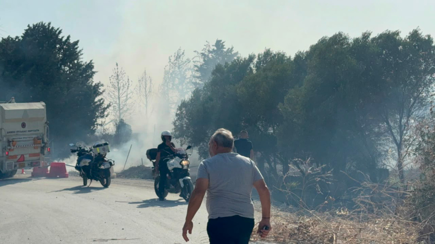 Περιορίστηκε η φωτιά στην Πυλαία Θεσσαλονίκης, έκαιγε κοντά σε σπίτια