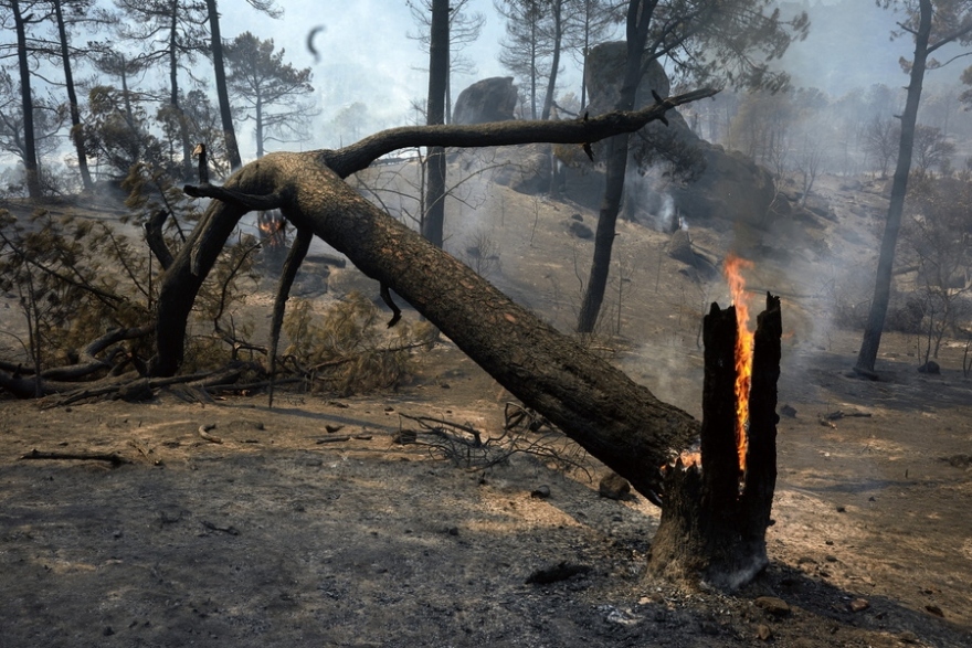 Ώρες αγωνίας με τις φωτιές σε Γαλλία και Ισπανία: Σε απόσταση 15 χλμ από το Μπορντό οι φλόγες, 320.000 άνθρωποι έχουν φύγει από τα σπίτια τους