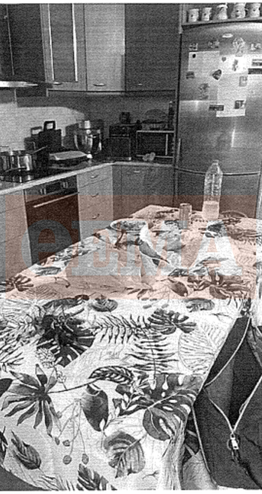 Φονικό στη Σύρο: Τα δύο μαχαίρια, τα 13.000 ευρώ και το οπλοστάσιο μέσα στο σπίτι, τι αποκαλύπτει η δικογραφία, δείτε φωτογραφίες ντοκουμέντα
