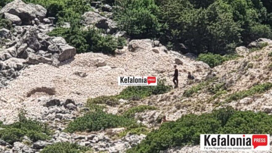 troxaio-kefalonia7