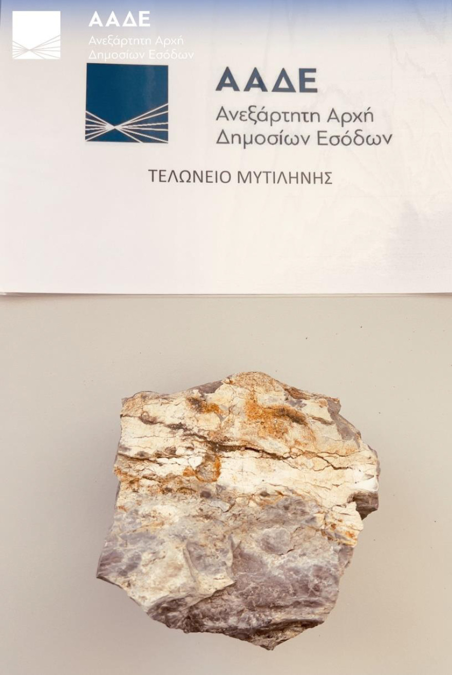 Από όπλα και ναρκωτικά μέχρι... παπαγάλους και απολιθωμένο κορμό: Τι εντόπισαν οι έλεγχοι της ΑΑΔΕ σε αεροδρόμια, λιμάνια και τελωνεία