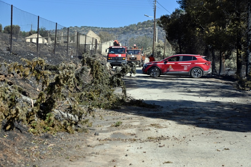 Εργαζόμενος του ΔΕΔΔΗΕ καταπλακώθηκε από κορμό δέντρου στην Αργολίδα κατά τη διάρκεια εργασιών αποκατάστασης του δικτύου