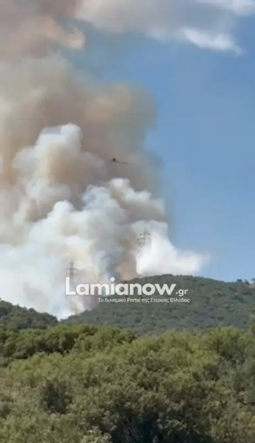 Οριοθετήθηκε η φωτιά στην Καμηλόβρυση Λαμίας
