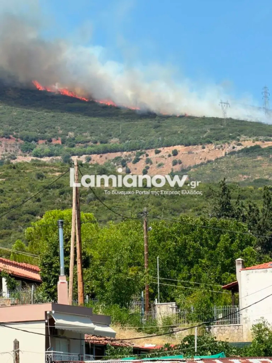 Οριοθετήθηκε η φωτιά στην Καμηλόβρυση Λαμίας