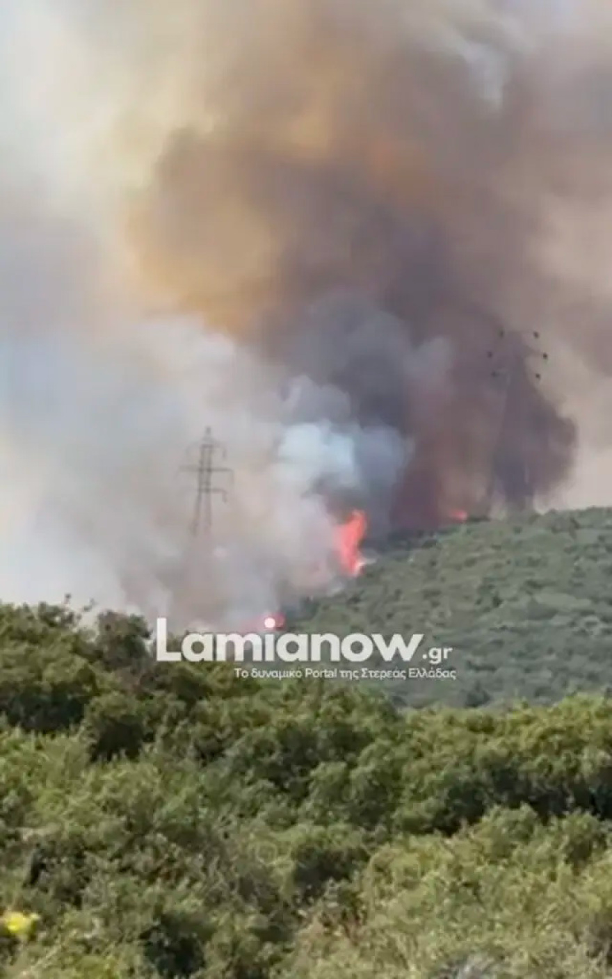 Οριοθετήθηκε η φωτιά στην Καμηλόβρυση Λαμίας