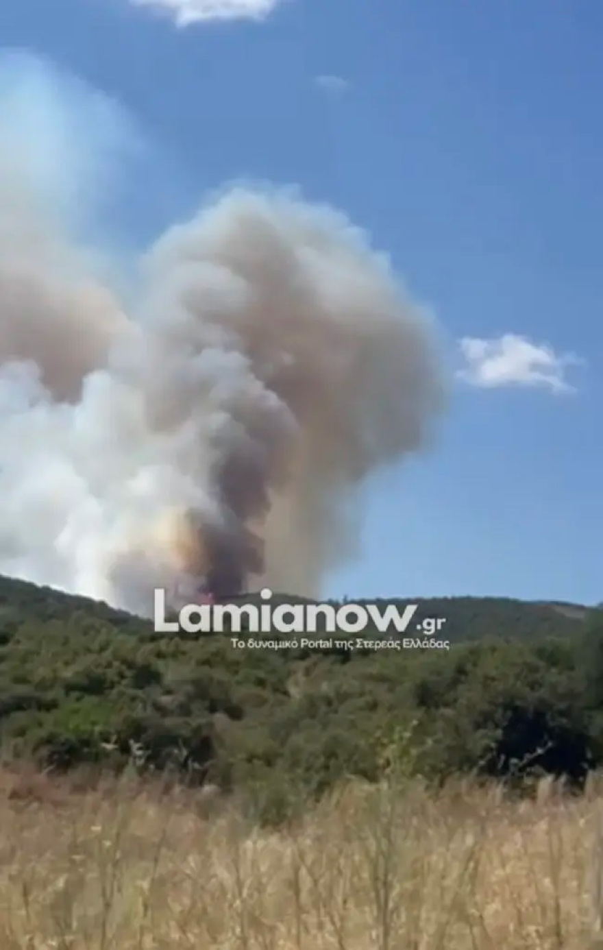Οριοθετήθηκε η φωτιά στην Καμηλόβρυση Λαμίας