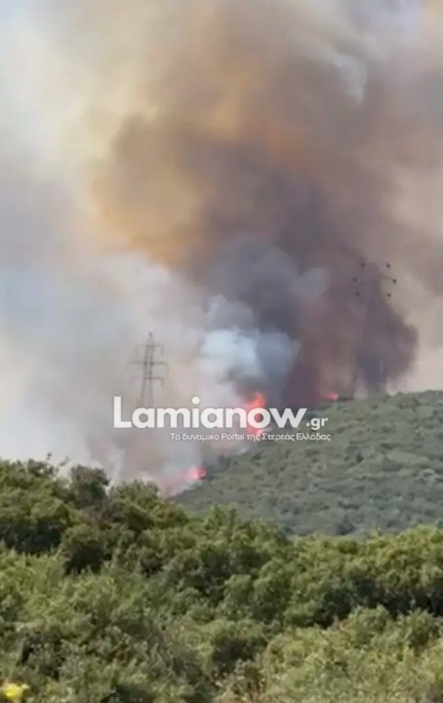 Οριοθετήθηκε η φωτιά στην Καμηλόβρυση Λαμίας