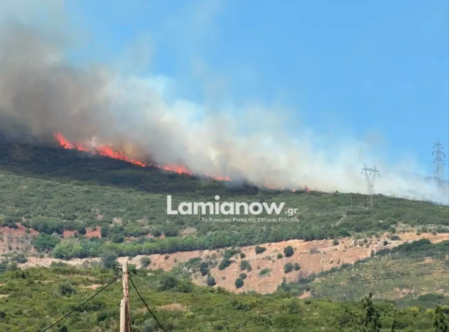 Οριοθετήθηκε η φωτιά στην Καμηλόβρυση Λαμίας