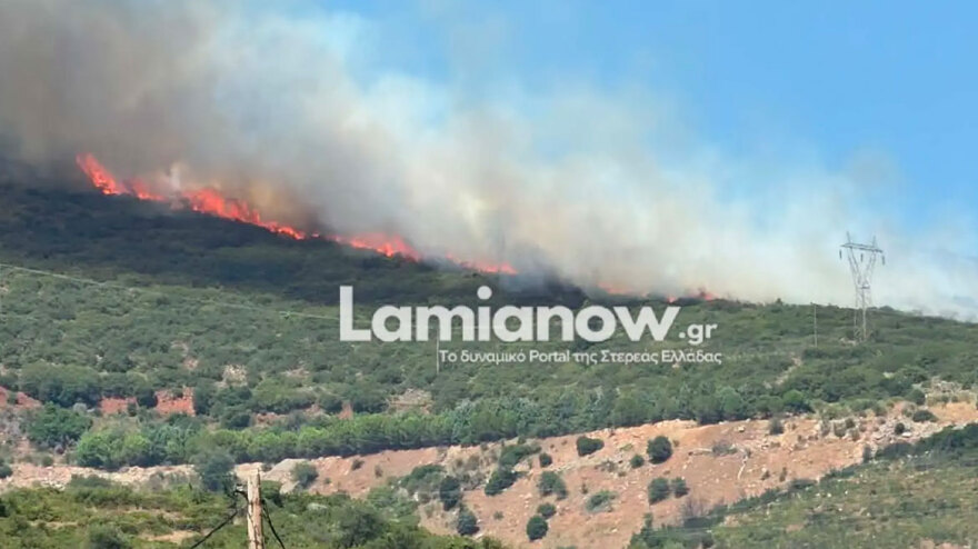 Οριοθετήθηκε η φωτιά στην Καμηλόβρυση Λαμίας