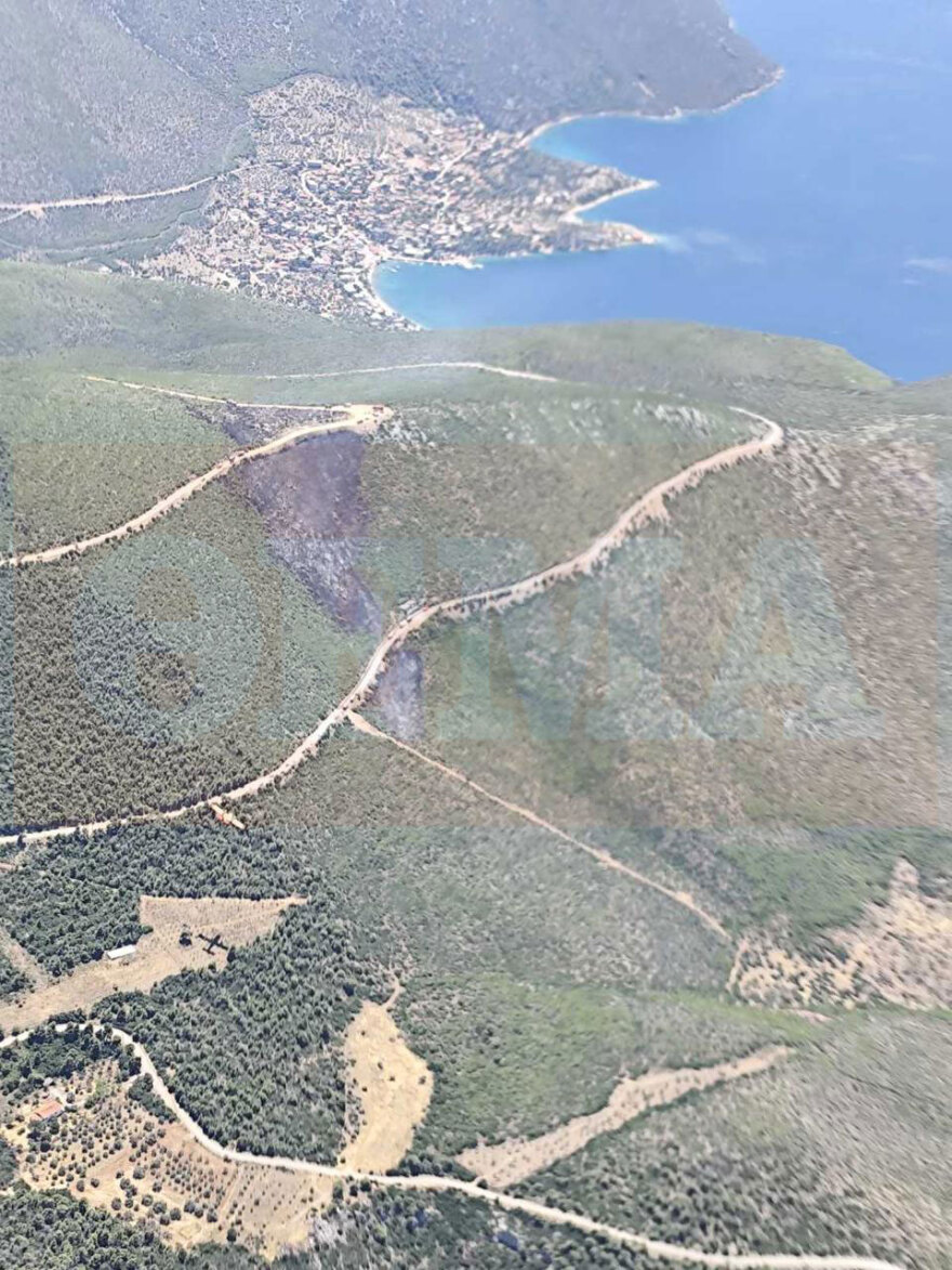 Βίντεο ντοκουμέντο από τη Βοιωτία: Τα πρώτα δευτερόλεπτα από το σημείο μηδέν όπου ξέσπασε η πυρκαγιά – Στο ίδιο σημείο είχε πιάσει φωτιά και πριν από ένα μήνα
