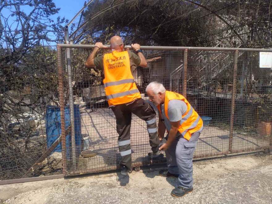 Συγκλονιστικές διασώσεις ζώων στα πύρινα μέτωπα: Σκύλος δεμένος σε αυλή και νεογέννητα γατάκια σε ξυλόφουρνο, δείτε φωτογραφίες