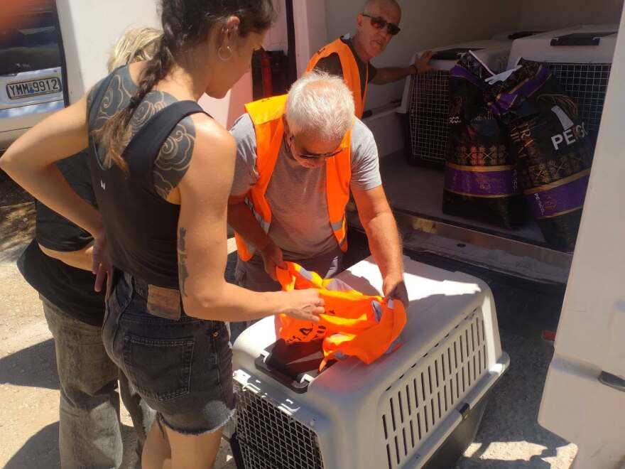 Συγκλονιστικές διασώσεις ζώων στα πύρινα μέτωπα: Σκύλος δεμένος σε αυλή και νεογέννητα γατάκια σε ξυλόφουρνο, δείτε φωτογραφίες