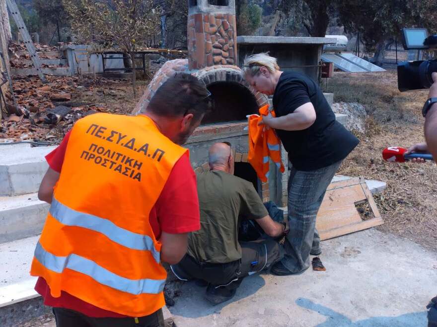 Συγκλονιστικές διασώσεις ζώων στα πύρινα μέτωπα: Σκύλος δεμένος σε αυλή και νεογέννητα γατάκια σε ξυλόφουρνο, δείτε φωτογραφίες