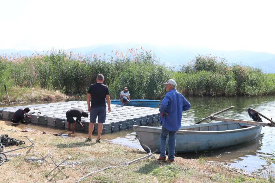 Πλωτές εξέδρες για την προστασία των αποικιών πελεκάνων από θηρευτές και ανομβρία στη Μικρή Πρέσπα, δείτε φωτογραφίες