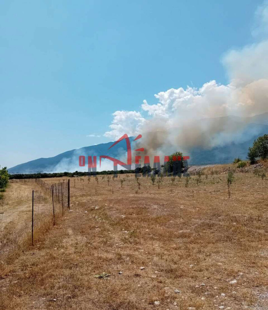 Φωτιά τώρα στην περιοχή Βροντού Πιερίας, επιχειρούν 46 πυροσβέστες με 19 οχήματα - Σηκώθηκαν 2 αεροσκάφη