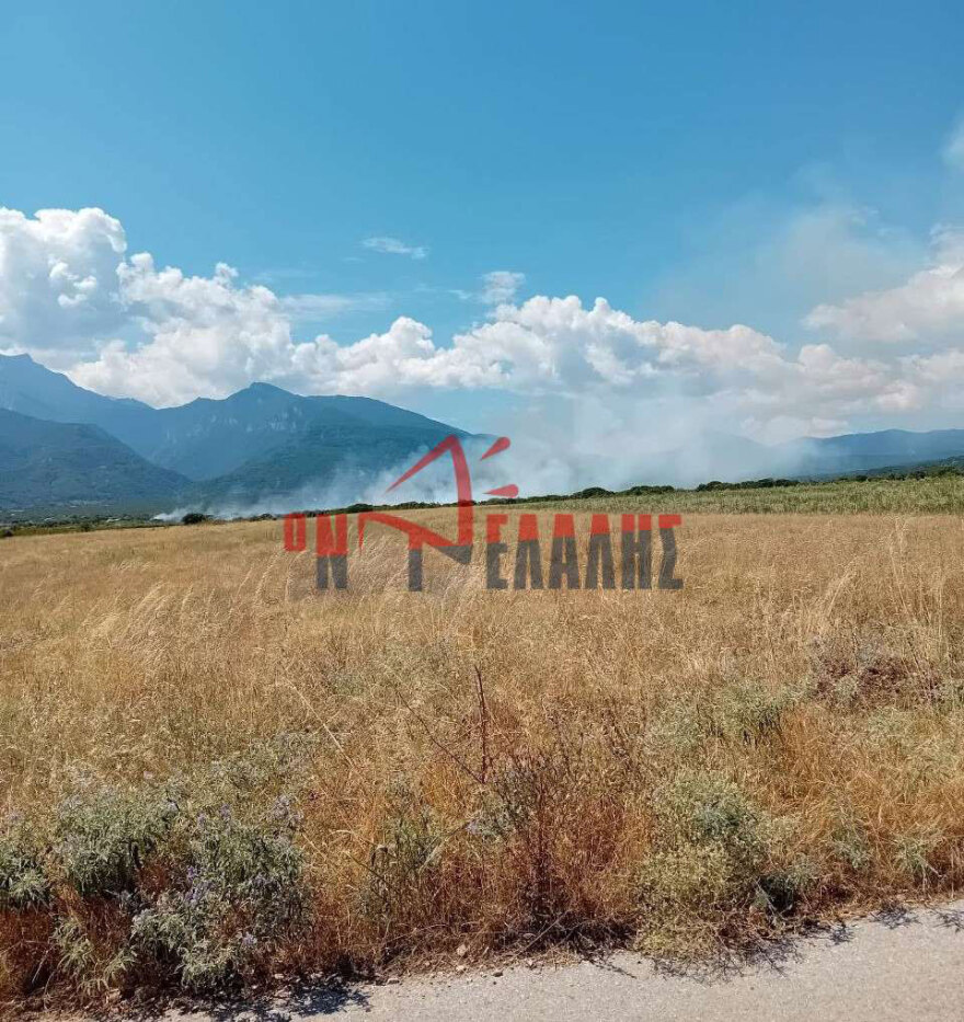 Φωτιά τώρα στην περιοχή Βροντού Πιερίας, επιχειρούν 46 πυροσβέστες με 19 οχήματα - Σηκώθηκαν 2 αεροσκάφη