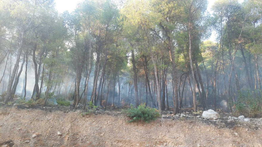 Χωρίς ενεργό μέτωπο η πυρκαγιά στη Δυτική Αττική, συνεχίζονται οι επιχειρήσεις στα καπνογόνα σημεία, σε επιφυλακή για αναζωπυρώσεις
