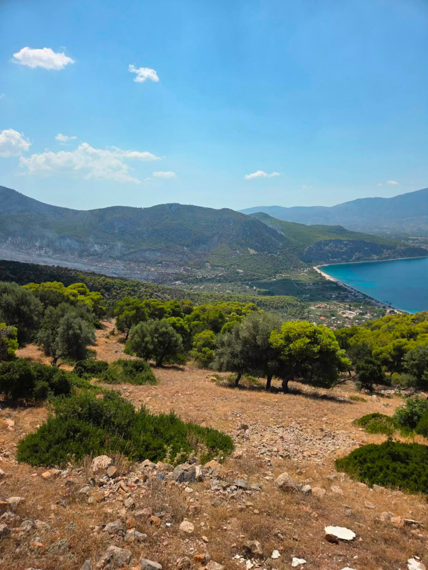 Χωρίς ενεργό μέτωπο η πυρκαγιά στη Δυτική Αττική, συνεχίζονται οι επιχειρήσεις στα καπνογόνα σημεία, σε επιφυλακή για αναζωπυρώσεις
