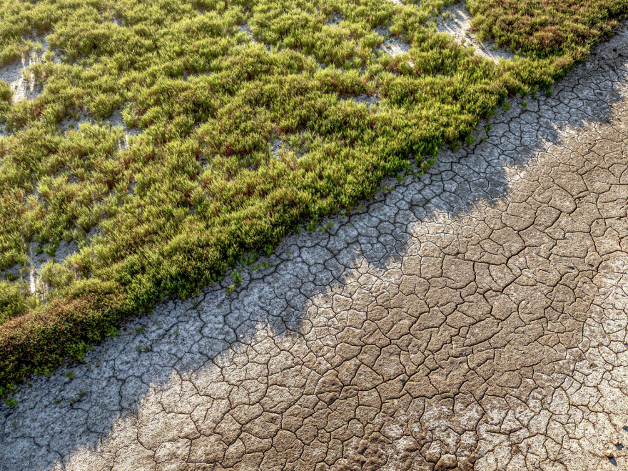 Drought is drying out the Kalochori wetland – See photos