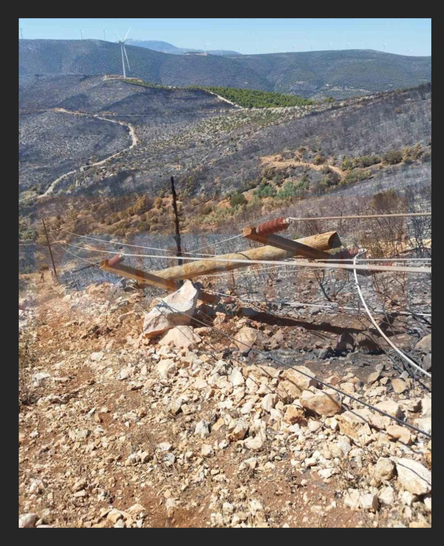 Πώς ξεκίνησε η φωτιά στη Βοιωτία: Τι αποκάλυψε η αυτοψία της Πυροσβεστικής «στο σημείο μηδέν», φωτογραφίες ντοκουμέντο