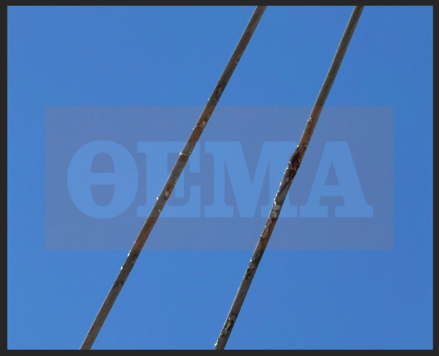 Πώς ξεκίνησε η φωτιά στη Βοιωτία: Τι αποκάλυψε η αυτοψία της Πυροσβεστικής «στο σημείο μηδέν», φωτογραφίες ντοκουμέντο