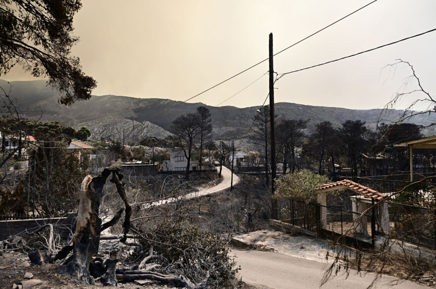 Οδοιπορικό στις στάχτες: Βίντεο από drone αποκαλύπτει το μέγεθος της καταστροφής στο Πόρτο Γερμενό  