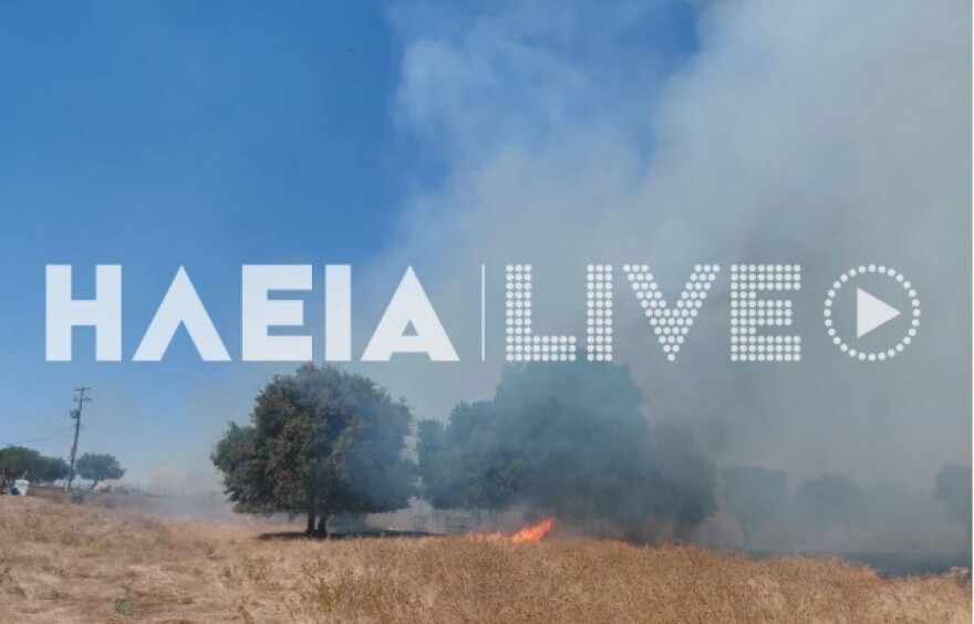 Καλύτερη η εικόνα της φωτιάς στην Aγία Μαρίνα Ηλείας, σηκώθηκαν τρία αεροσκάφη, δείτε φωτογραφίες