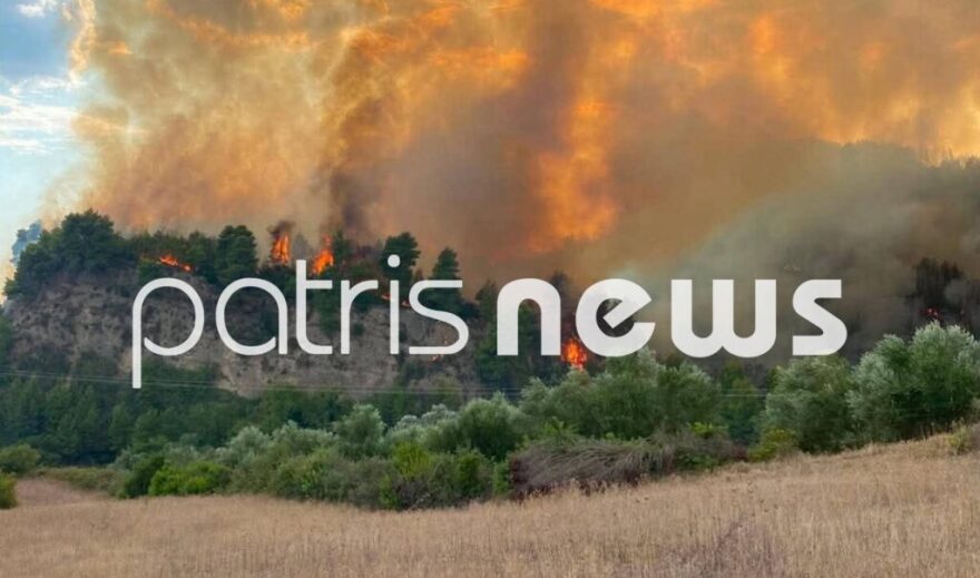 Καλύτερη η εικόνα της φωτιάς σε δάσος στο Μουζάκι Ηλείας, λέει ο αντιπεριφερειάρχης, επιχειρούν μόνο επίγειες δυνάμεις, δείτε βίντεο και φωτογραφίες