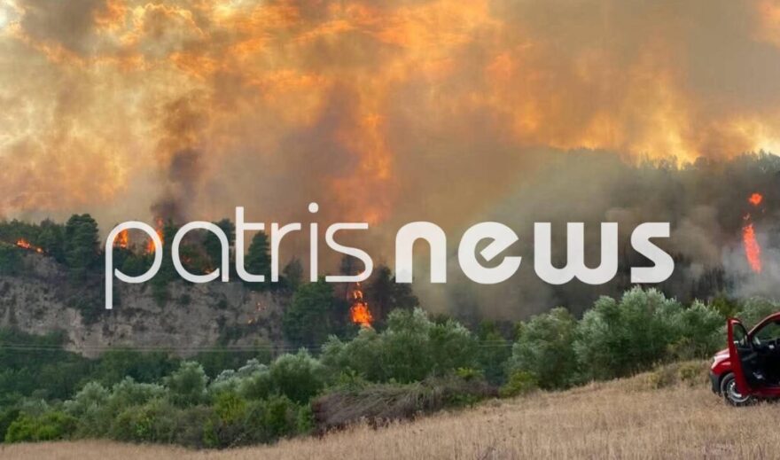 Καλύτερη η εικόνα της φωτιάς σε δάσος στο Μουζάκι Ηλείας, λέει ο αντιπεριφερειάρχης, επιχειρούν μόνο επίγειες δυνάμεις, δείτε βίντεο και φωτογραφίες