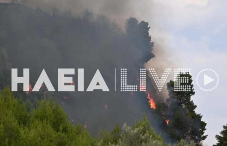 Καλύτερη η εικόνα της φωτιάς σε δάσος στο Μουζάκι Ηλείας, λέει ο αντιπεριφερειάρχης, επιχειρούν μόνο επίγειες δυνάμεις, δείτε βίντεο και φωτογραφίες