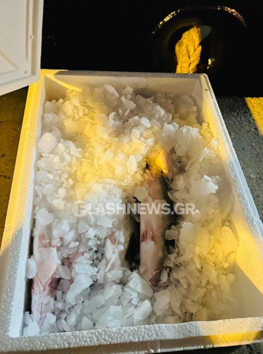 Λιμενικό καταδίωξε δύο άνδρες που έκλεβαν ψάρια από ιχθυοκαλλιέργεια στη Σούδα, κατασχέθηκαν 210 κιλά