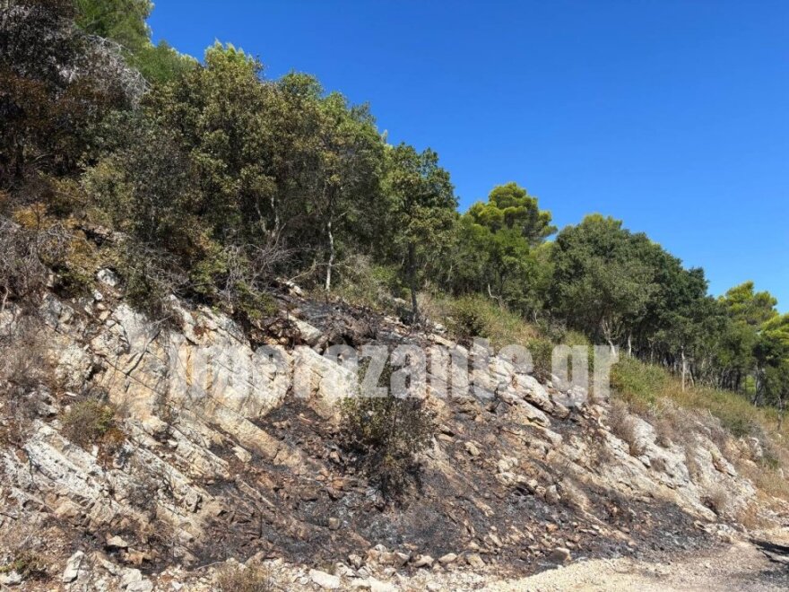 Από όχημα τύπου «Buggy» ξεκίνησε η φωτιά στον Μαραθιά Ζακύνθου, δείτε εικόνες από το σημείο