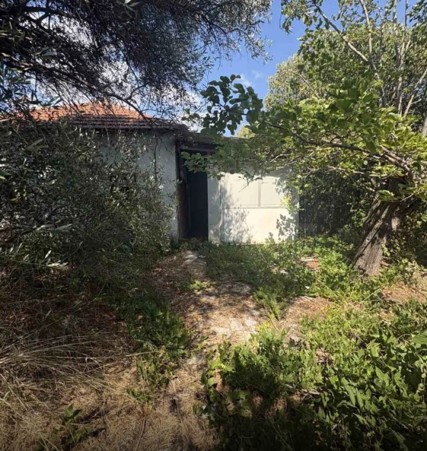 Εξαρθρώθηκε εγκληματική οργάνωση που διακινούσε ναρκωτικά στη Μεσσηνία, κατασχέθηκαν πάνω από 10 κιλά κάνναβης, παράνομο κέρδος άνω των 30.000€