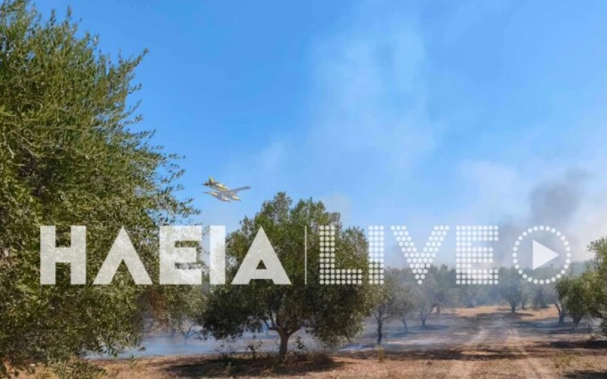 Φωτιά στο Χάβαρι Ηλείας, σηκώθηκαν 5 αεροσκάφη