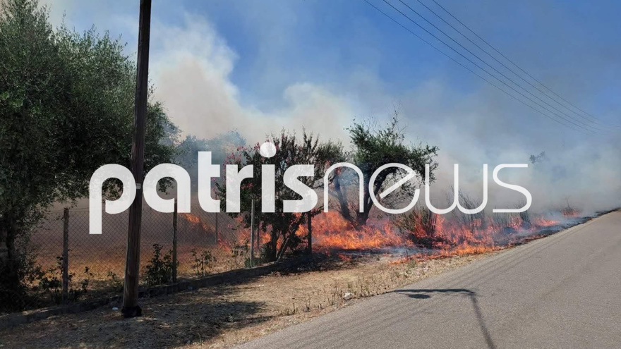 Οριοθετήθηκε η φωτιά στο Βαρθολομιό, παραμένουν δυνάμεις στο σημείο 
