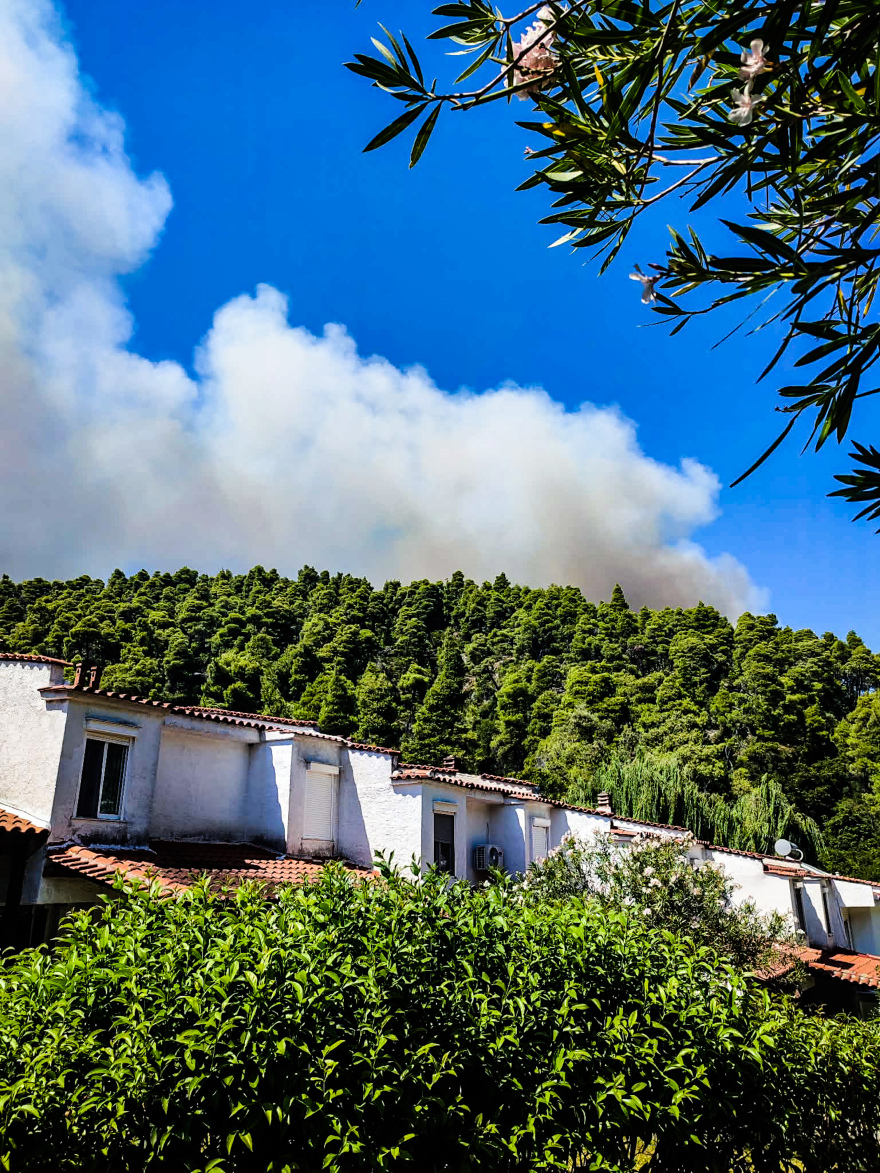 fotia-xalkidiki__2_