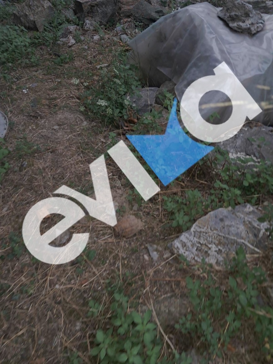 Χειροβομβίδα του  Β' Παγκοσμίου Πολέμου σε παλιά αποθήκη της Εύβοιας, επιχείρηση για την απομάκρυνσή της