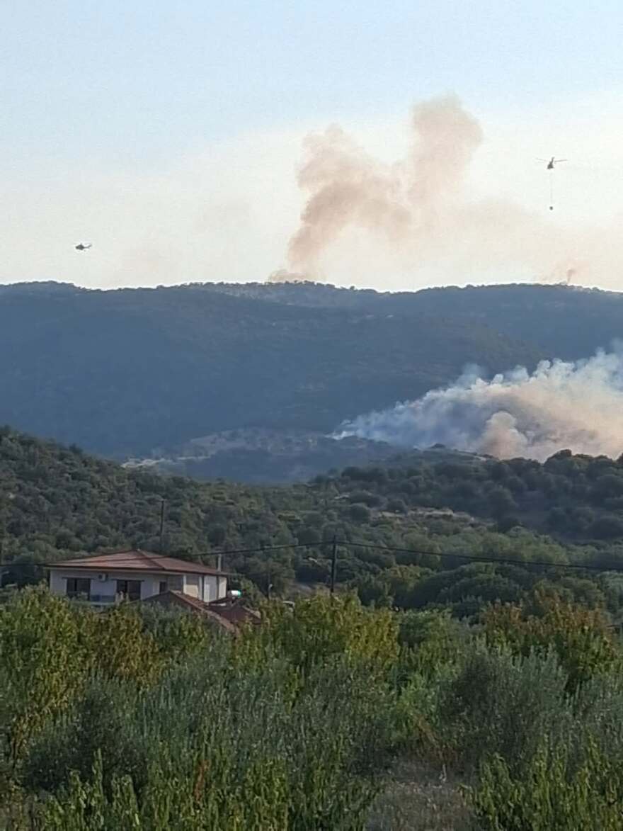 Χωρίς ενεργό μέτωπο οι τρεις φωτιές στον Βόλο, δείτε βίντεο και φωτογραφίες 
