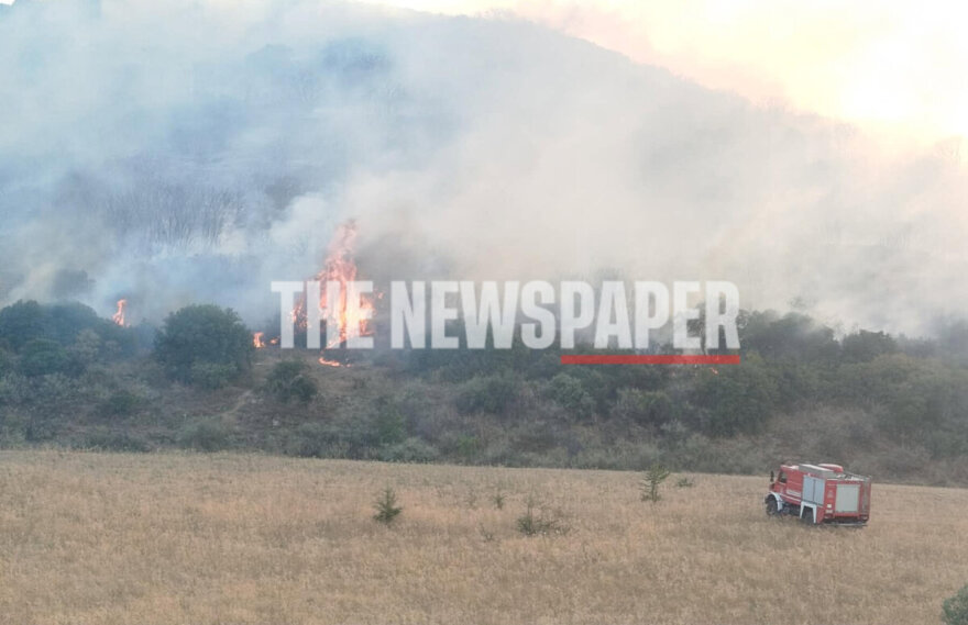 Χωρίς ενεργό μέτωπο οι τρεις φωτιές στον Βόλο, δείτε βίντεο και φωτογραφίες 