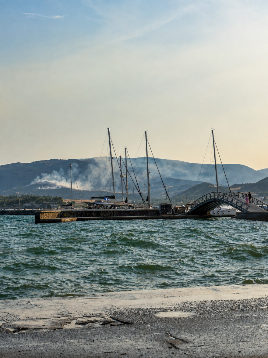 Χωρίς ενεργό μέτωπο οι τρεις φωτιές στον Βόλο, δείτε βίντεο και φωτογραφίες 