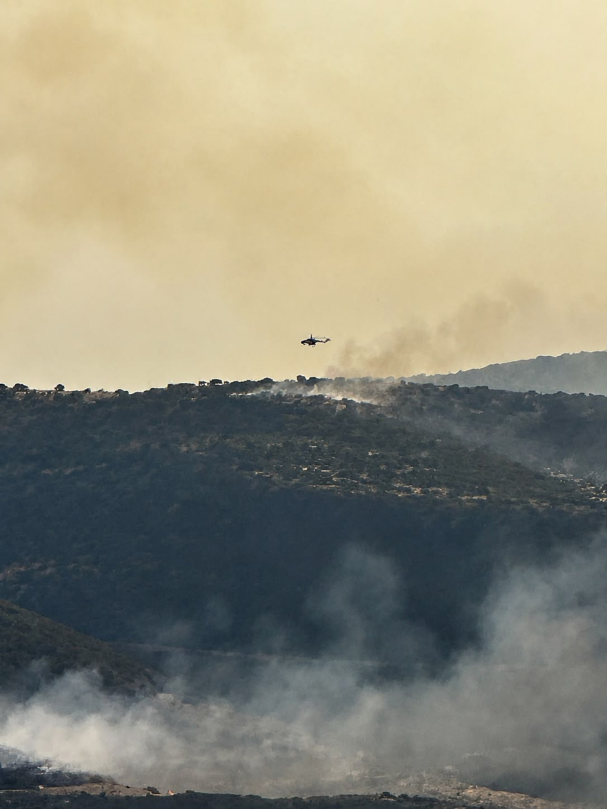 Χωρίς ενεργό μέτωπο οι τρεις φωτιές στον Βόλο, δείτε βίντεο και φωτογραφίες 