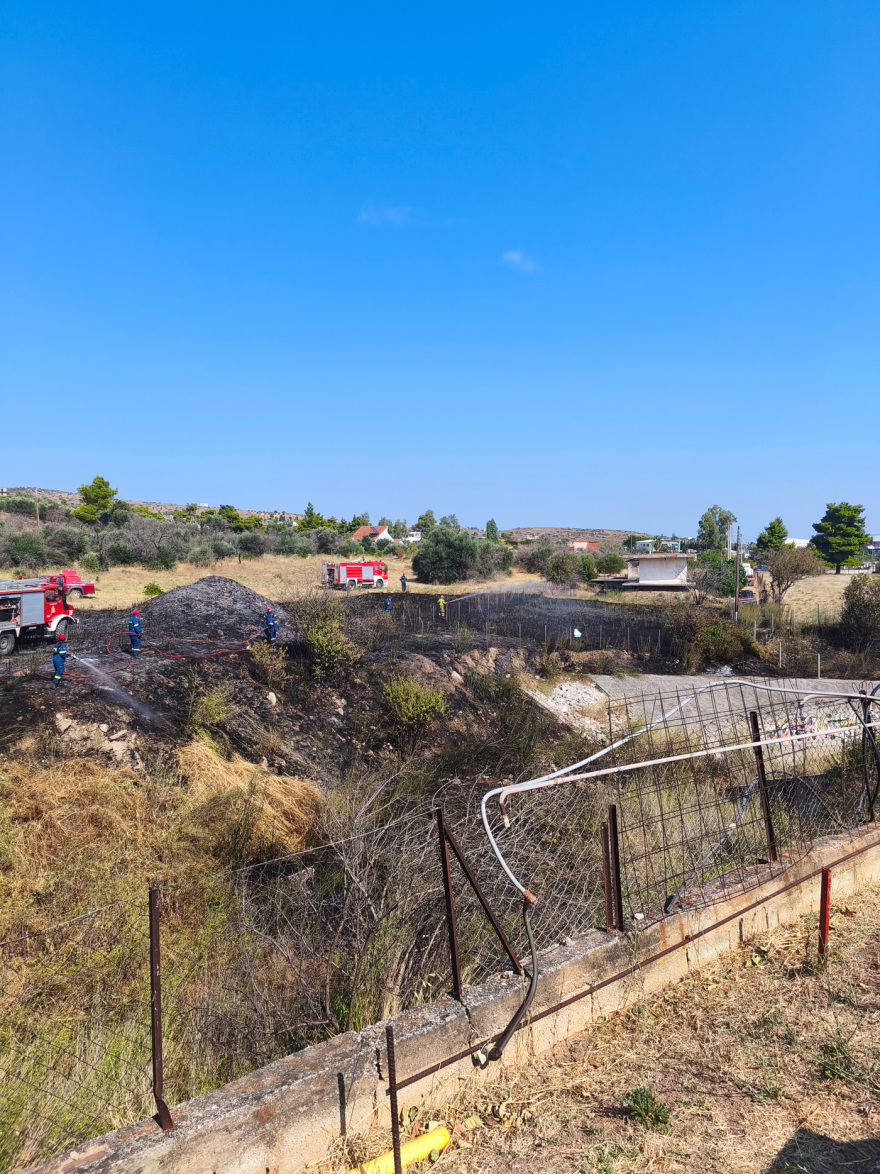 fotia-gerakas2-_1_