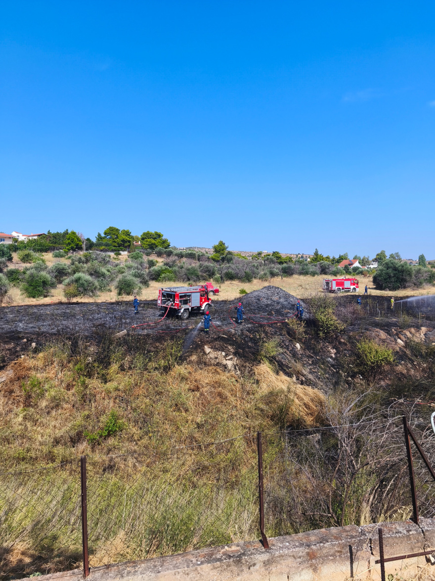 fotia-gerakas2-_3_