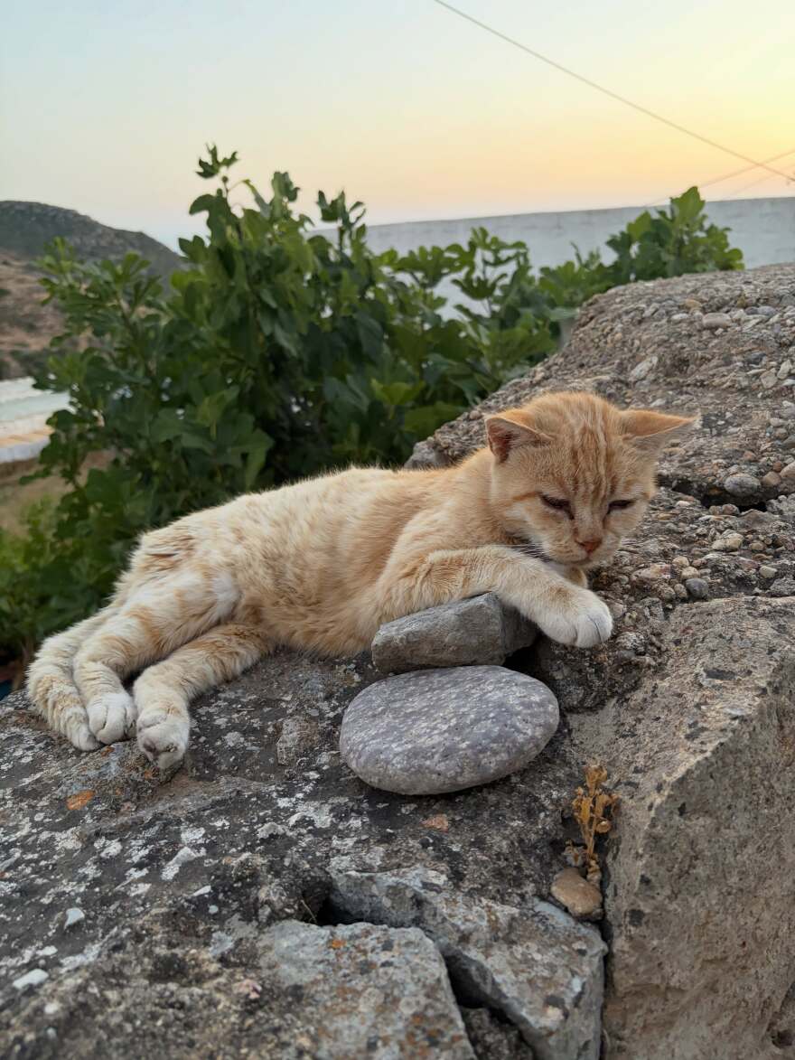 Διακοπές στην Ελλάδα έκανε η διευθύντρια δημοσίων σχέσεων του Dior Couture λίγο πριν το θανατηφόρο τροχαίο της - Οι φωτογραφίες από την Πάτμο