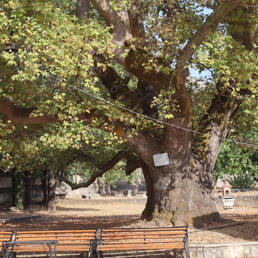 Η Καλομοίρα έκανε διακοπές στην Κεφαλονιά: Το γλέντι με τον Κωνσταντίνο Αργυρό και τα θαλάσσια σπορ με τα παιδιά της