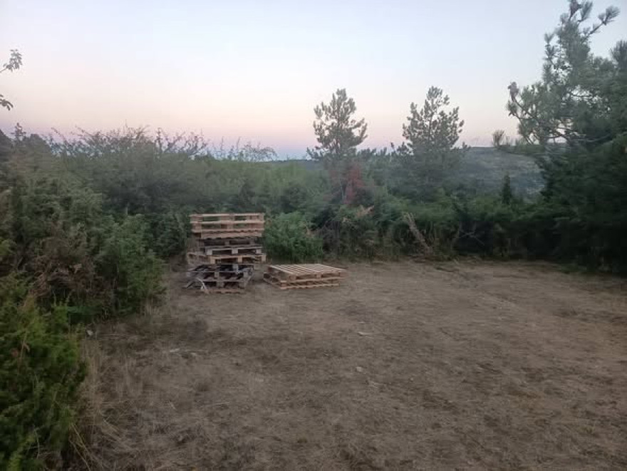 Σέλι Ημαθίας: Εστησαν παράνομο κάμπινγκ μέσα στο δάσος, είχαν φιάλες υγραερίου για μαγείρεμα και άναβαν φωτιές