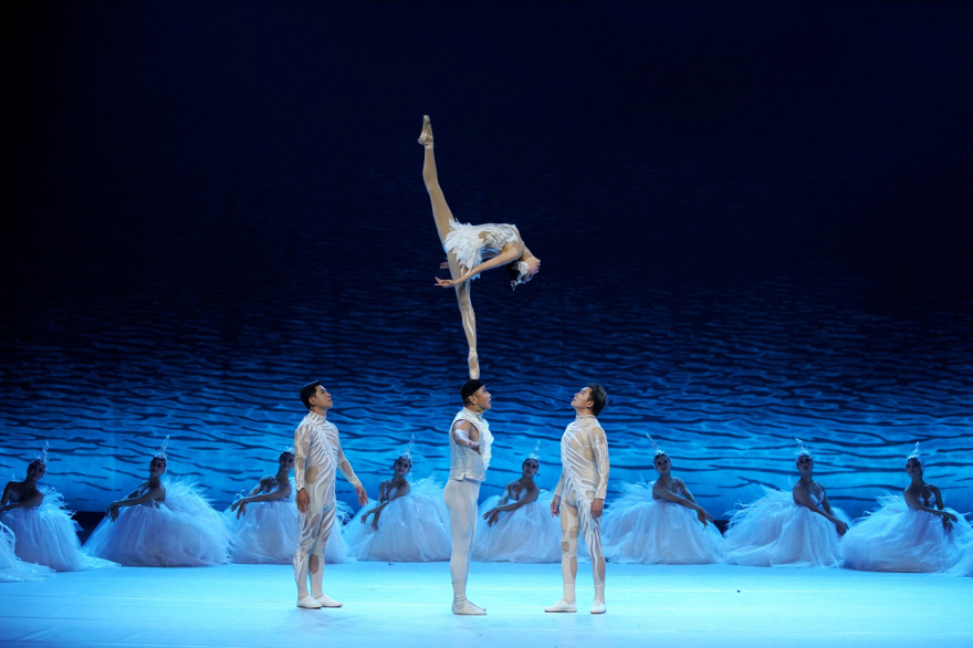 Swan Acrobatic Dance Drama